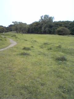 f0049813_21204842.jpg