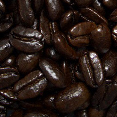 c0036617_7182177.jpg