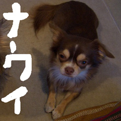 c0036617_7272742.jpg