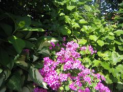 b0024439_18545417.jpg