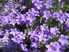 b0024439_18551845.jpg