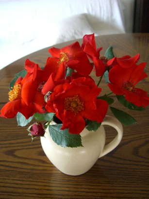 f0072846_050582.jpg