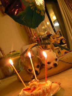 d0070948_09121.jpg