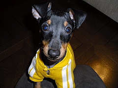 c0123149_13295360.jpg