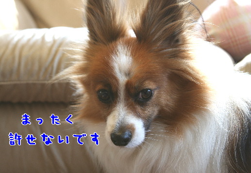 d0013149_21354930.jpg