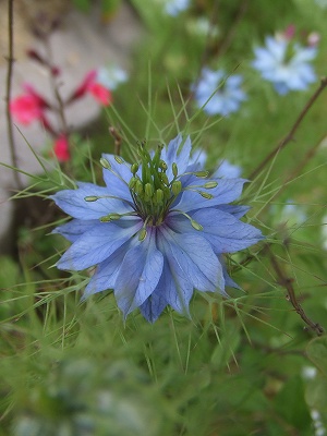 f0068649_1645396.jpg