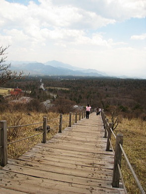 c0043751_1565986.jpg