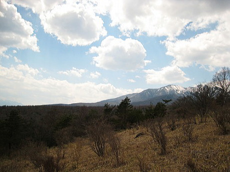 c0043751_284727.jpg