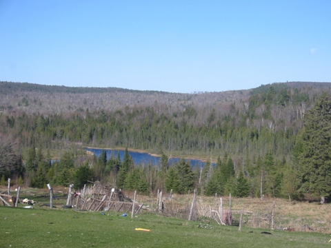 c0081257_10325422.jpg