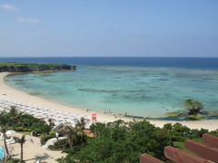a0042564_21451170.jpg