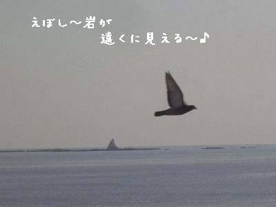 e0032665_2111256.jpg