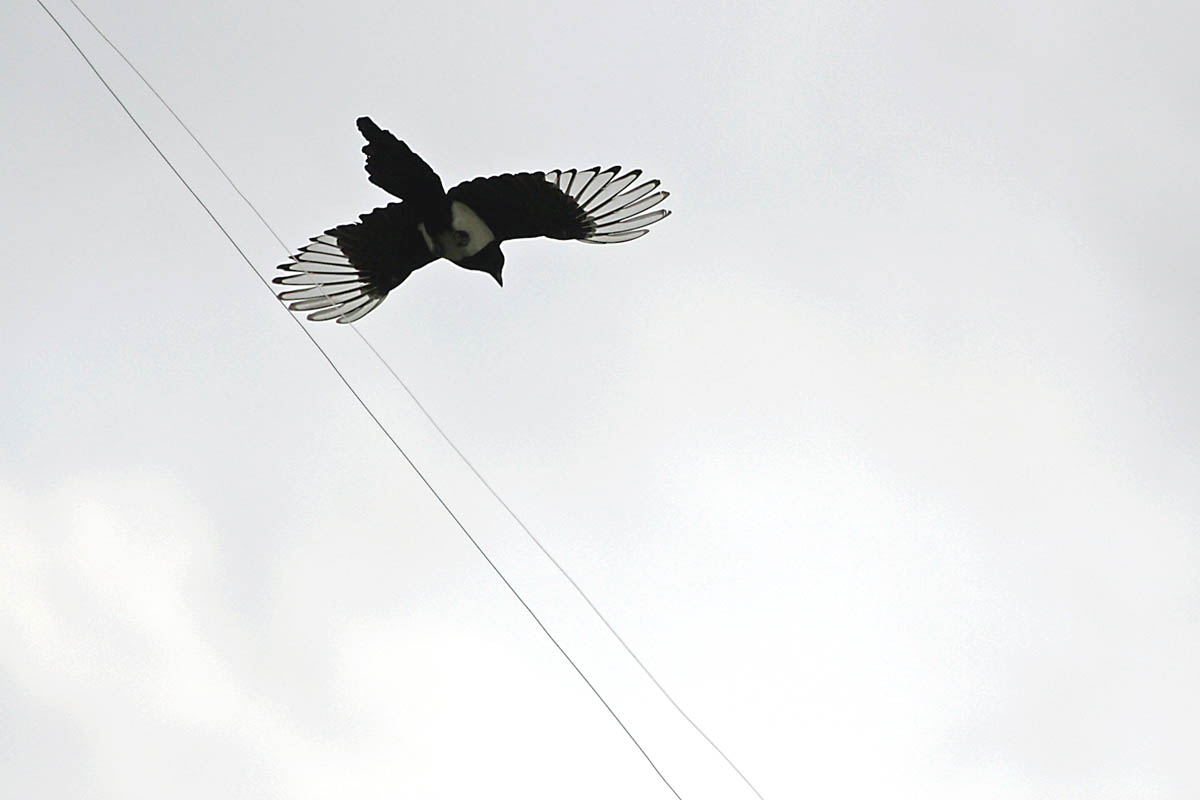 a0083081_1823047.jpg