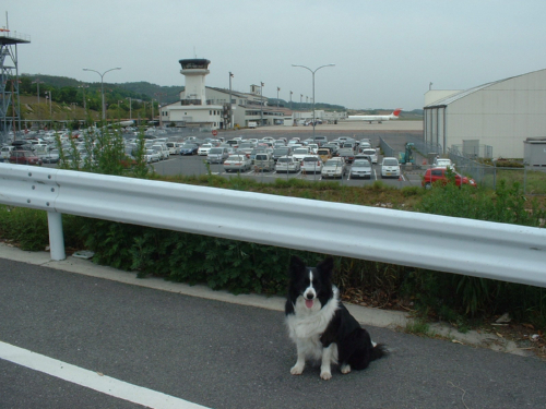 c0120585_1225174.jpg