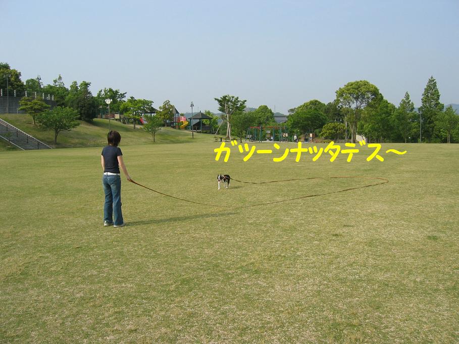 a0080889_02034.jpg
