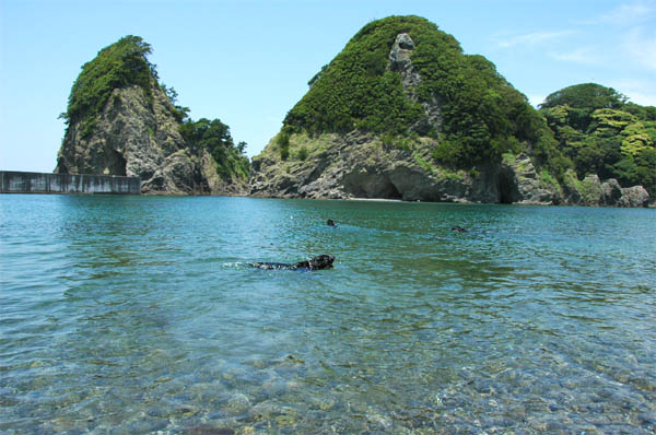 e0102491_10275316.jpg