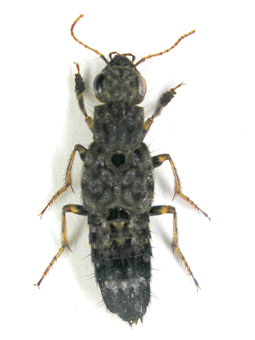 e0083097_142939.jpg