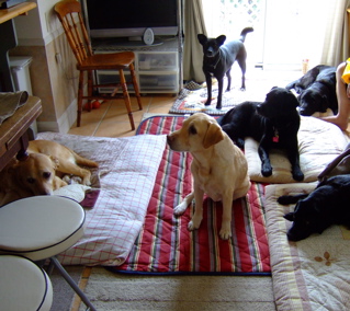 f0001698_0311873.jpg