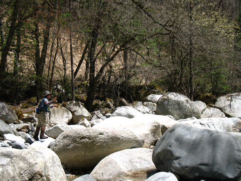 d0042500_11124315.jpg