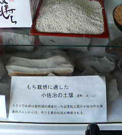 d0121300_1415137.jpg