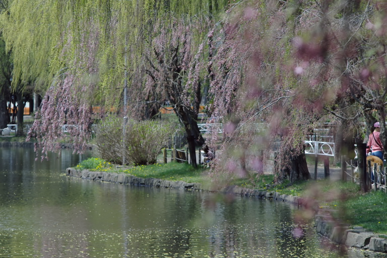 f0002701_22562641.jpg