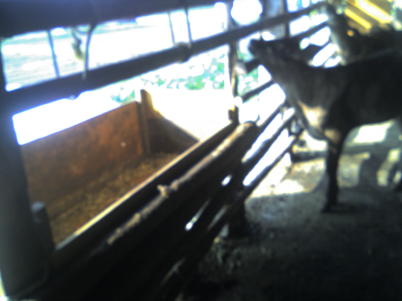 a0054905_21304678.jpg