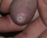 a0054905_21553833.jpg