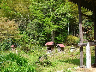 f0096508_12442456.jpg