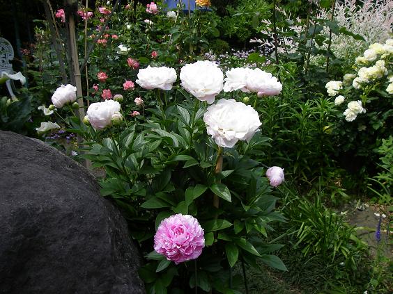 c0097309_1192726.jpg