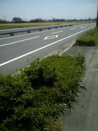 b0003613_2146629.jpg