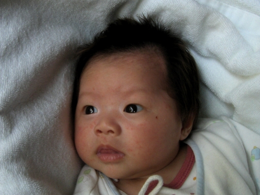 f0018417_12381421.jpg