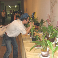 d0033734_1115298.jpg