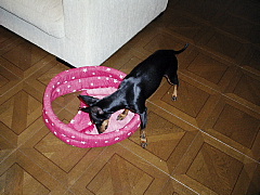 c0123149_21484830.jpg