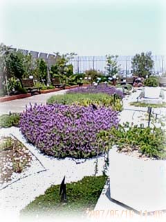 b0059350_1949121.jpg