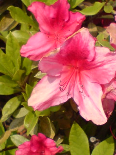 c0016551_0253645.jpg