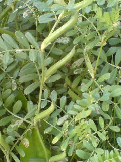 c0016551_0253686.jpg