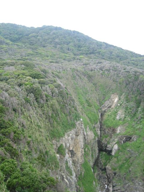 d0031061_0164038.jpg