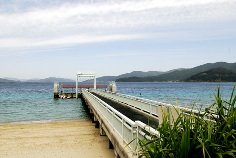 b0062363_2162496.jpg