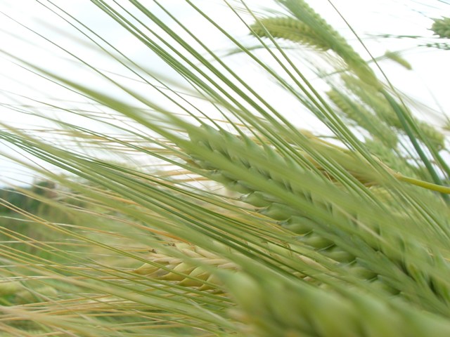 a0091666_17534932.jpg