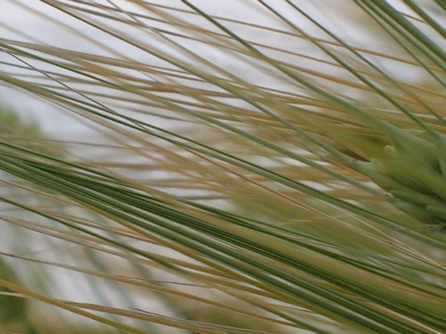a0091666_1885616.jpg