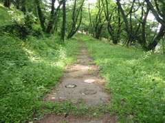 d0094868_10523817.gif