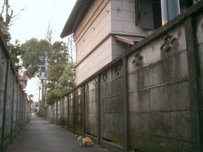 c0112172_2221662.jpg