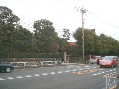 c0112172_2222710.jpg
