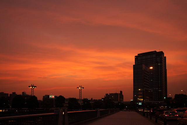 b0067789_2124544.jpg