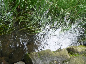 f0079289_16224328.jpg