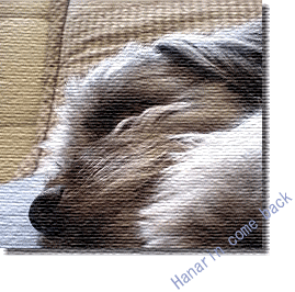 e0087693_18515599.gif