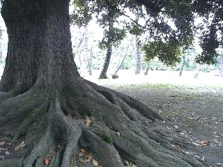 e0111793_9222119.jpg