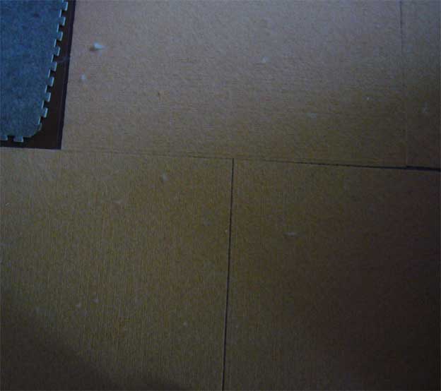 e0018604_12433953.jpg