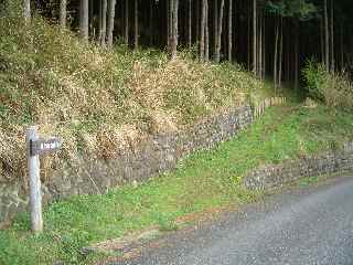 c0051112_7262897.jpg