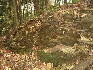 c0051112_7334672.jpg