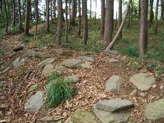 c0051112_734258.jpg